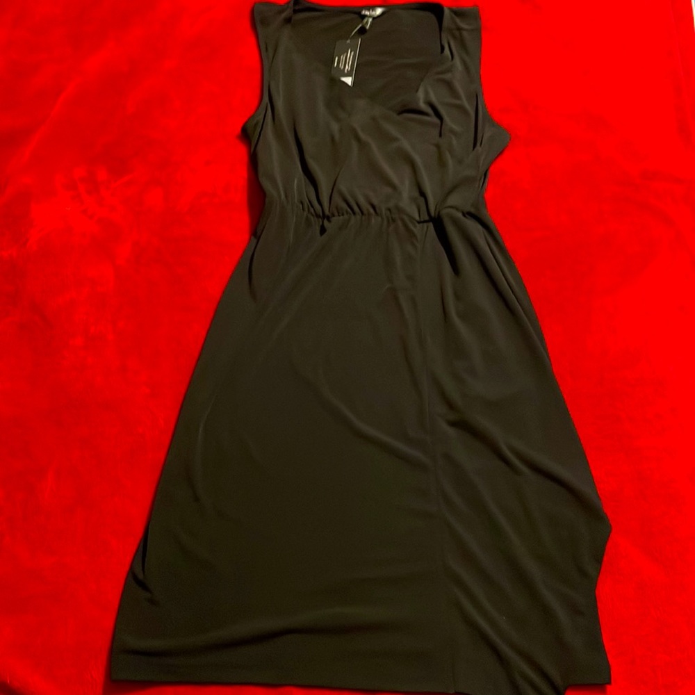 Daisy Fuentes sleeveless chic LBD